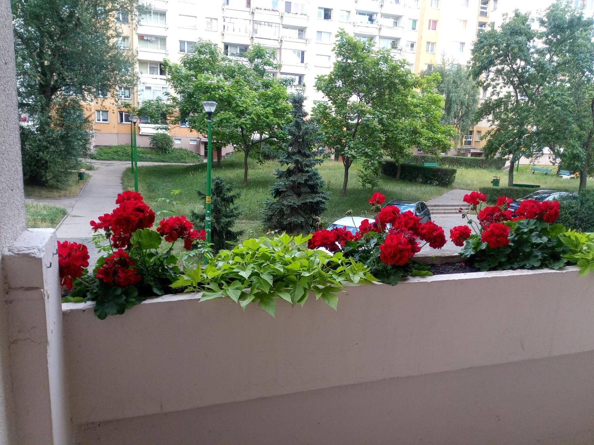 Astra Blisko Stadionu Wroclaw
